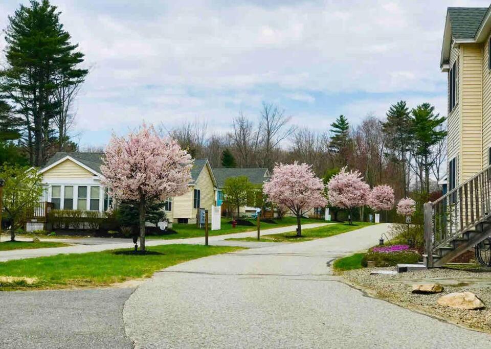 Private Wells Beach Cottage With Resort Amenities, Sleeps 6, 1 Mile To Beach! Exterior foto